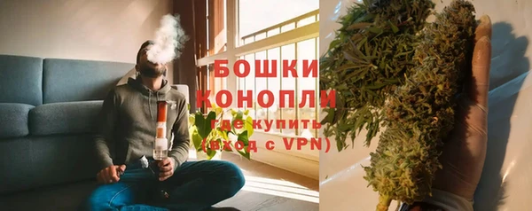 spice Аркадак