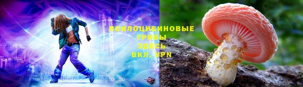 мдпв Арсеньев