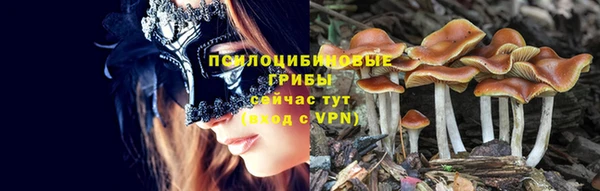 spice Аркадак