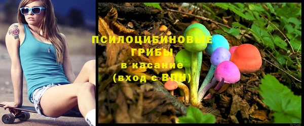 spice Аркадак