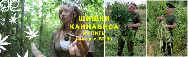spice Аркадак